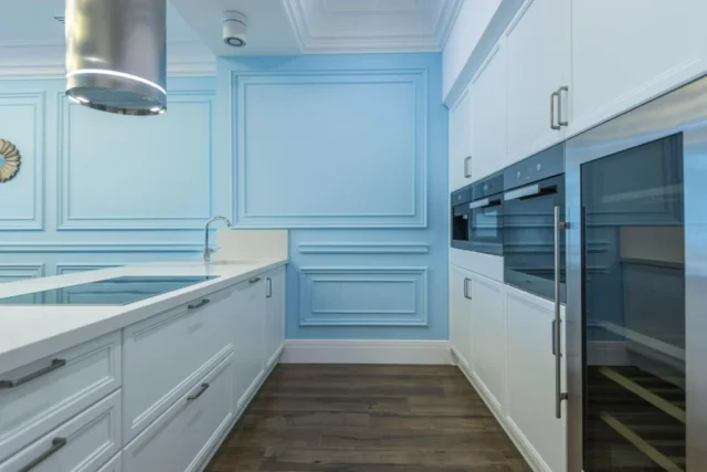 Contemporary blue kitchen cabinets with built in appliances design inspiration